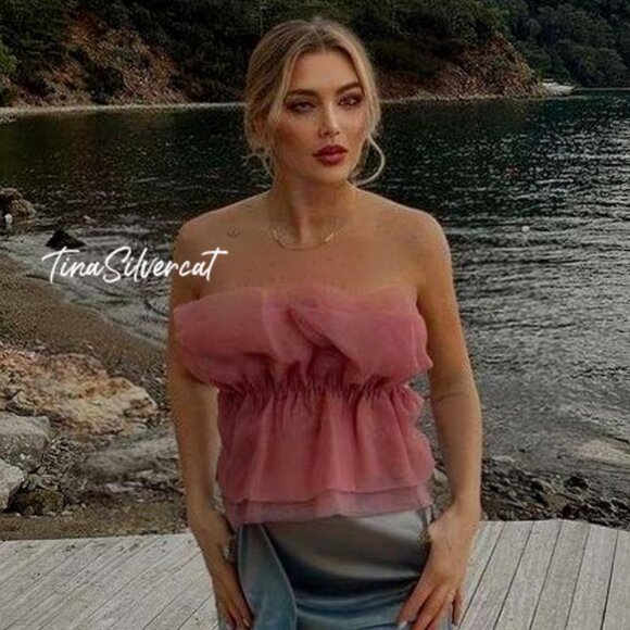 BLOGGER'S FAVE! Zara Organza Strapless Top Pink Sz S NWT - Picture 2 of 11